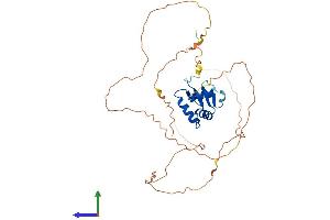 AlphaFold protein structure predicition of Human Recombinant ETV2 Protein, UniprotID O00321