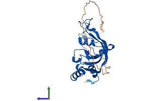 AlphaFold protein structure predicition of Human Recombinant THYN1 Protein, UniprotID Q9P016