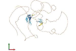 AlphaFold protein structure predicition of Human Recombinant TAF15 Protein, UniprotID Q92804