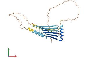 AlphaFold protein structure predicition of Human Recombinant MLF1 Protein, UniprotID P58340