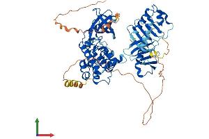 AlphaFold protein structure predicition of Human Recombinant PLK3 Protein, UniprotID Q9H4B4