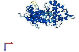 AlphaFold protein structure predicition of Mouse Recombinant Oas1a Protein, UniprotID P11928