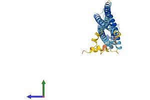 AlphaFold protein structure predicition of Human Recombinant STX3 Protein, UniprotID Q13277