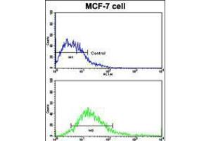 Flow cytometric analysis of MCF-7 cells using (bottom histogram) compared to a negative control cell (top histogram).