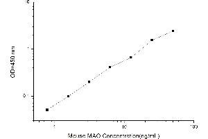 Typical standard curve (MAO Kit ELISA)