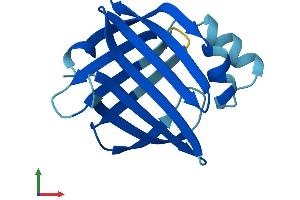 AlphaFold protein structure predicition of Mouse Recombinant Fabp9 Protein, UniprotID O08716