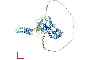 AlphaFold protein structure predicition of Mouse Recombinant Katna1 Protein, UniprotID Q9WV86