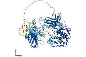 AlphaFold protein structure predicition of Mouse Recombinant Prkch Protein, UniprotID P23298