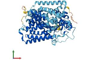 AlphaFold protein structure predicition of Human Recombinant SLC5A10 Protein, UniprotID A0PJK1
