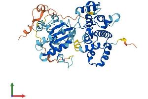 AlphaFold protein structure predicition of Mouse Recombinant Arhgap1 Protein, UniprotID Q5FWK3