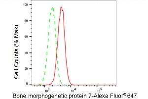 Flow cytometric analysis of Bone morphogenetic protein 7 expression in H9c2 cells using Bone morphogenetic protein 7 antibody (ABIN7797777), 1:2,000). (Recombinant BMP7 anticorps)