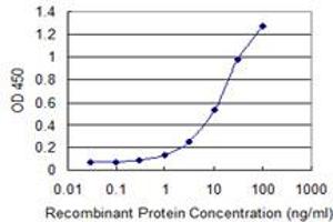 Detection limit for recombinant GST tagged NAT5 is 0.