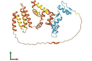 AlphaFold protein structure predicition of Human Recombinant KLF7 Protein, UniprotID O75840