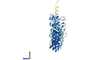 AlphaFold protein structure predicition of Human Recombinant ASB11 Protein, UniprotID Q8WXH4