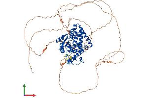 AlphaFold protein structure predicition of Mouse Recombinant Eya4 Protein, UniprotID Q9Z191