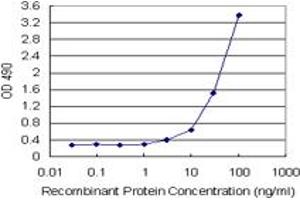 Sandwich ELISA detection sensitivity ranging from 1 ng/mL to 100 ng/mL. (HMGB2 (Humain) Matched Antibody Pair)