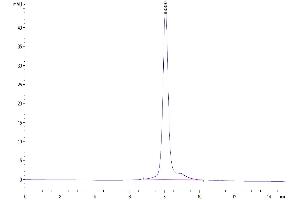 The purity of Mouse TPO/Thyroid Peroxidase is greater than 95 % as determined by SEC-HPLC.