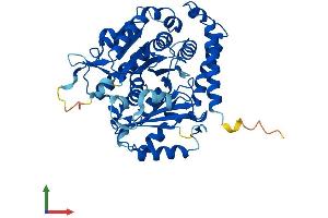 AlphaFold protein structure predicition of Mouse Recombinant Tuba1c Protein, UniprotID P68373