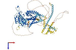 AlphaFold protein structure predicition of Mouse Recombinant Pkd2 Protein, UniprotID O35245