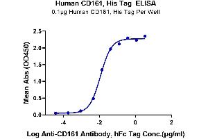 Immobilized Human CD161, His Tag at 1 μg/mL (100 μL/Well) on the plate. (CD161 Protein (AA 67-225) (His tag))