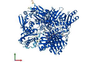 AlphaFold protein structure predicition of Mouse Recombinant Aox3 Protein, UniprotID G3X982
