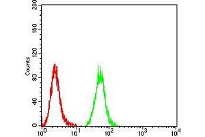 Flow cytometric analysis of Hela cells using IDH1 mouse mAb (green) and negative control (red). (IDH1 anticorps  (AA 156-298))