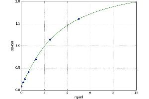 phosphodiesterase 1C, Calmodulin-Dependent 70kDa (PDE1C) ELISA Kit