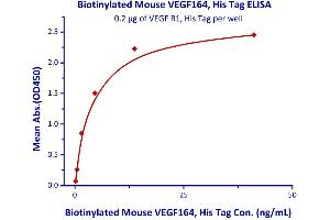 Measured by its binding ability in a functional ELISA.