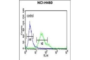 FCGR1A Antibody (Center) (ABIN651123 and ABIN2840085) flow cytometric analysis of NCI- cells (right histogram) compared to a negative control cell (left histogram).