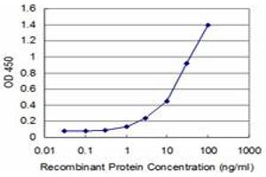 Detection limit for recombinant GST tagged IRAK4 is approximately 1ng/ml as a capture antibody. (IRAK4 anticorps  (AA 255-351))