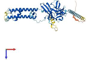 AlphaFold protein structure predicition of Human Recombinant KCNJ8 Protein, UniprotID Q15842