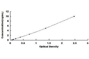 Typical standard curve