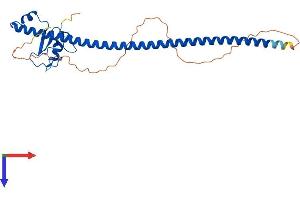 AlphaFold protein structure predicition of Human Recombinant CCNB1IP1 Protein, UniprotID Q9NPC3