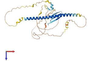 AlphaFold protein structure predicition of Human Recombinant GMNC Protein, UniprotID A6NCL1
