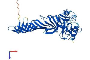 AlphaFold protein structure predicition of Mouse Recombinant Setd7 Protein, UniprotID Q8VHL1