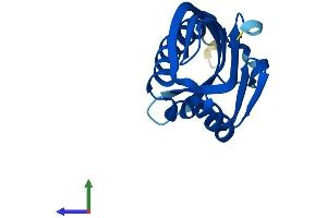 AlphaFold protein structure predicition of Human Recombinant NXT2 Protein, UniprotID Q9NPJ8