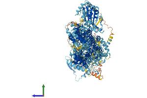AlphaFold protein structure predicition of Human Recombinant ADCY10 Protein, UniprotID Q96PN6