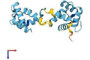 AlphaFold protein structure predicition of Human Recombinant CABP5 Protein, UniprotID Q9NP86