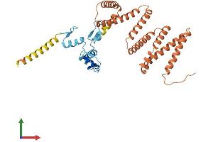 AlphaFold protein structure predicition of Human Recombinant ZNF781 Protein, UniprotID Q8N8C0