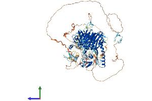 AlphaFold protein structure predicition of Human Recombinant CAPN15 Protein, UniprotID O75808