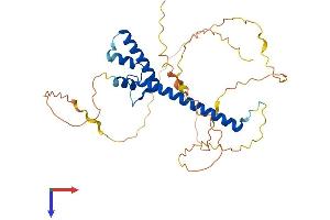 AlphaFold protein structure predicition of Mouse Recombinant Neurod4 Protein, UniprotID O09105