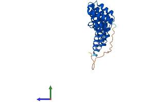 AlphaFold protein structure predicition of Human Recombinant NAPG Protein, UniprotID Q99747