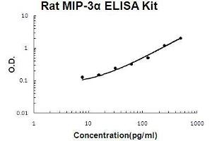 Rat MIP-3 alpha/CCL20 PicoKine ELISA Kit standard curve (CCL20 Kit ELISA)