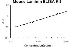 Mouse Laminin Accusignal ELISA Kit Mouse Laminin AccuSignal ELISA Kit standard curve. (Laminin Kit ELISA)