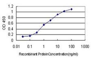 Detection limit for recombinant GST tagged HGS is approximately 0. (HGS anticorps  (AA 513-612))