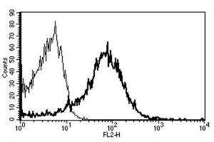 Flow Cytometry (FACS) image for anti-CD82 (CD82) antibody (PE) (ABIN1106589) (CD82 anticorps  (PE))