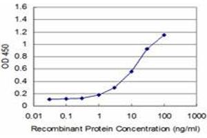 Detection limit for recombinant GST tagged LIMK1 is approximately 1ng/ml as a capture antibody. (LIM Domain Kinase 1 anticorps  (AA 548-647))