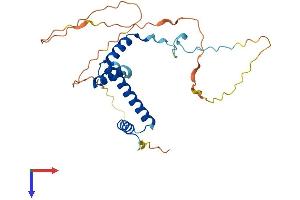 AlphaFold protein structure predicition of Human Recombinant TAF9B Protein, UniprotID Q9HBM6