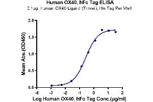 Immobilized Human OX40 Ligand (Trimer), His Tag at 1 μg/mL (100 μL/well) on the plate. (TNFRSF4 Protein (AA 29-216) (Fc Tag))