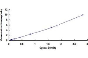 Typical standard curve (FOLR2 Kit ELISA)